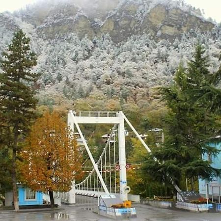 Tamarioni Hotel Borjomi ภายนอก รูปภาพ