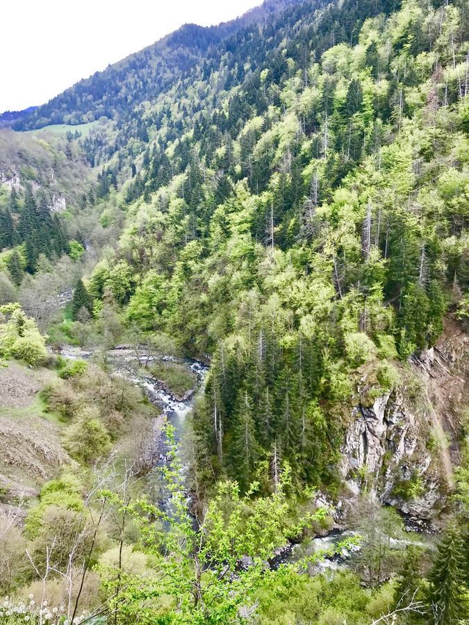 Tamarioni Hotel Borjomi ภายนอก รูปภาพ