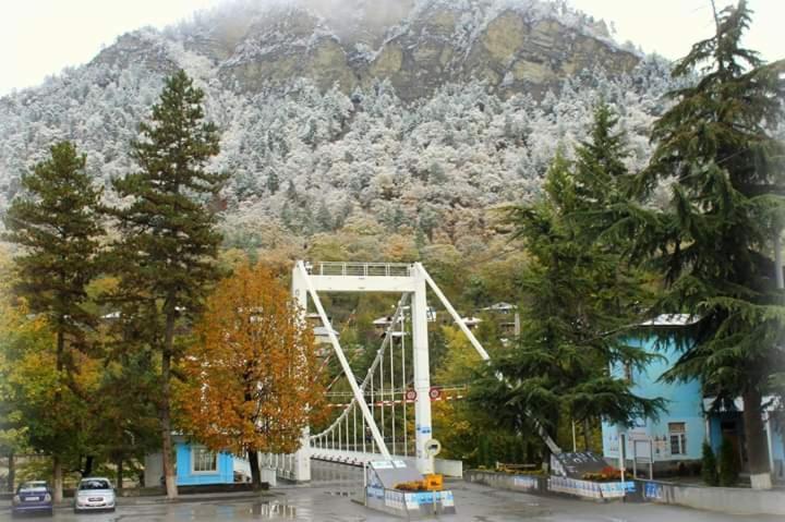 Tamarioni Hotel Borjomi ภายนอก รูปภาพ